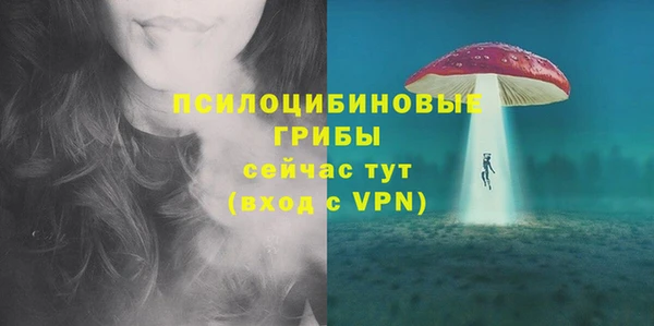 прущие грибы Абдулино