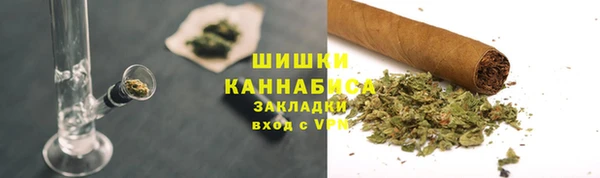 прущие грибы Абдулино