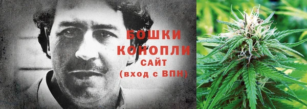 индика Каменногорск
