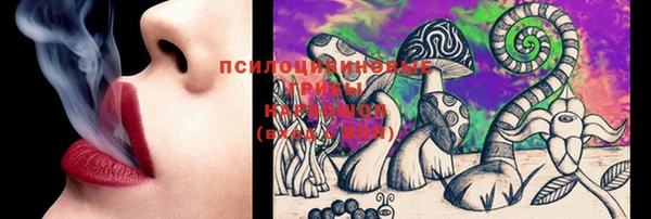 прущие грибы Абдулино