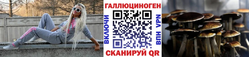 купить наркотик  Саратов  Псилоцибиновые грибы мицелий 